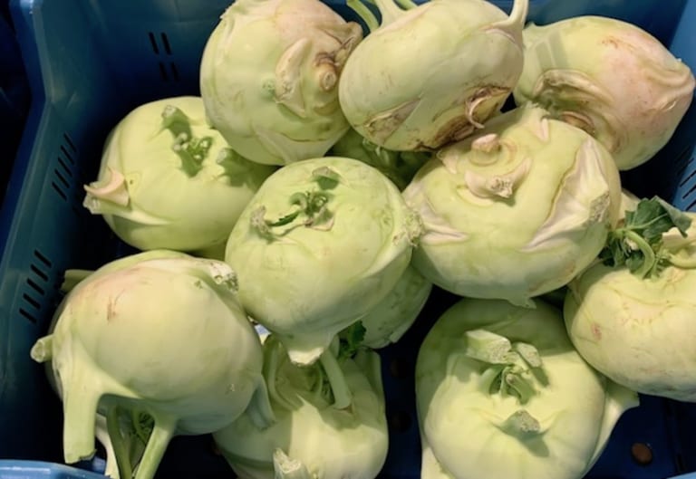 第11回 キャベツ＋かぶの味わい!? 「コールラビ」を生で、煮て、スープにしてみたら… 暮らしとおしゃれの編集室