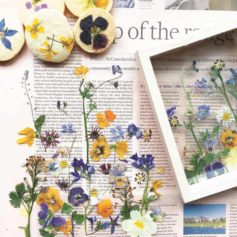 お手軽押し花の作り方 暮らしとおしゃれの編集室