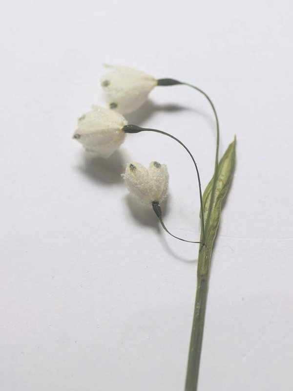 32 スノーフレーク 暮らしとおしゃれの編集室